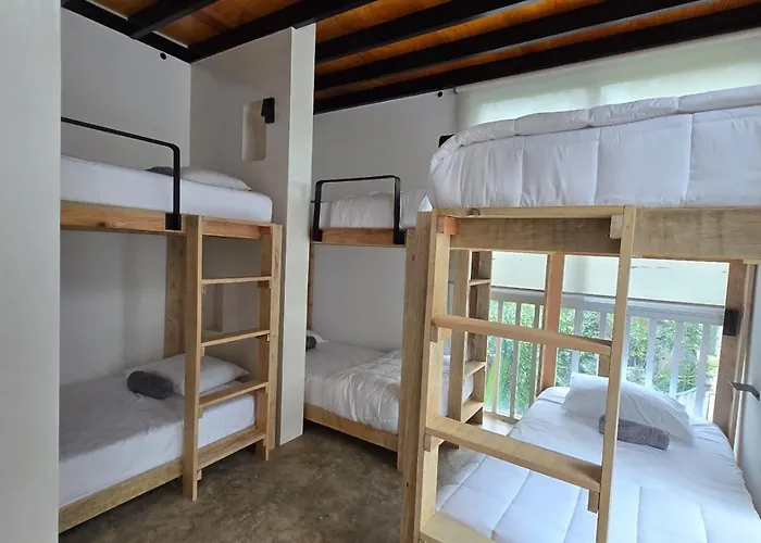 Hostal Hom Boutique *