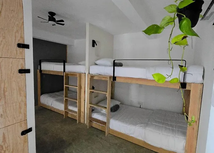 Hostal Hom Boutique *